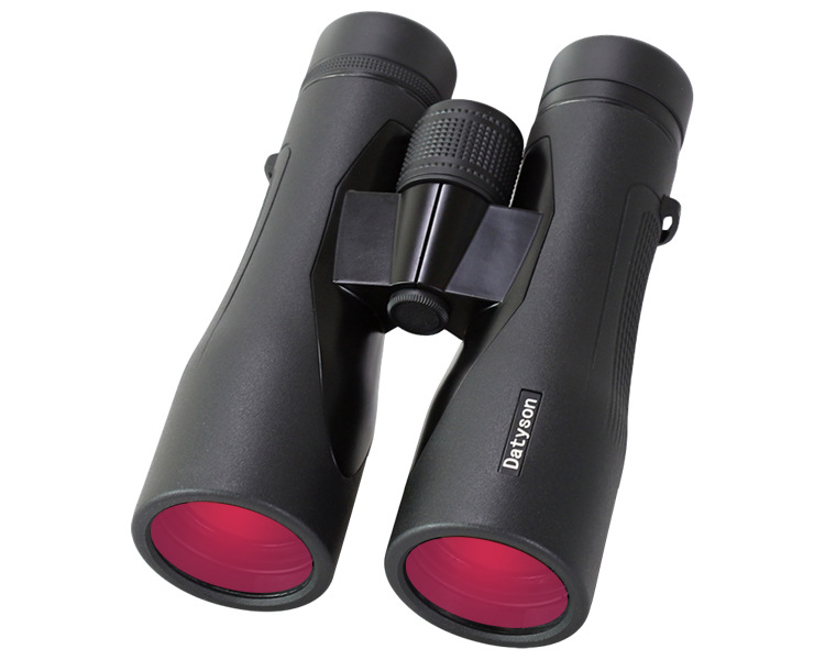 Datyson Black Dragon-serie 10x - Outdoor Lighting Black recensie en prijs