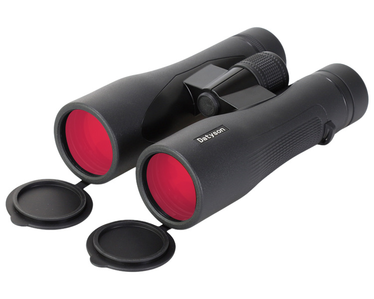 Datyson Black Dragon-serie 10x - Outdoor Lighting Black recensie en prijs